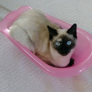 Meet your Posher, Filipa